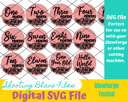 Monthly milestone svg, Milestone discs svg, floral svg, Baby Milestone SVG, Baby milestone rounds svg, baby announcement svg, sign svg